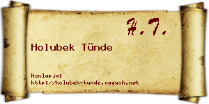 Holubek Tünde névjegykártya
